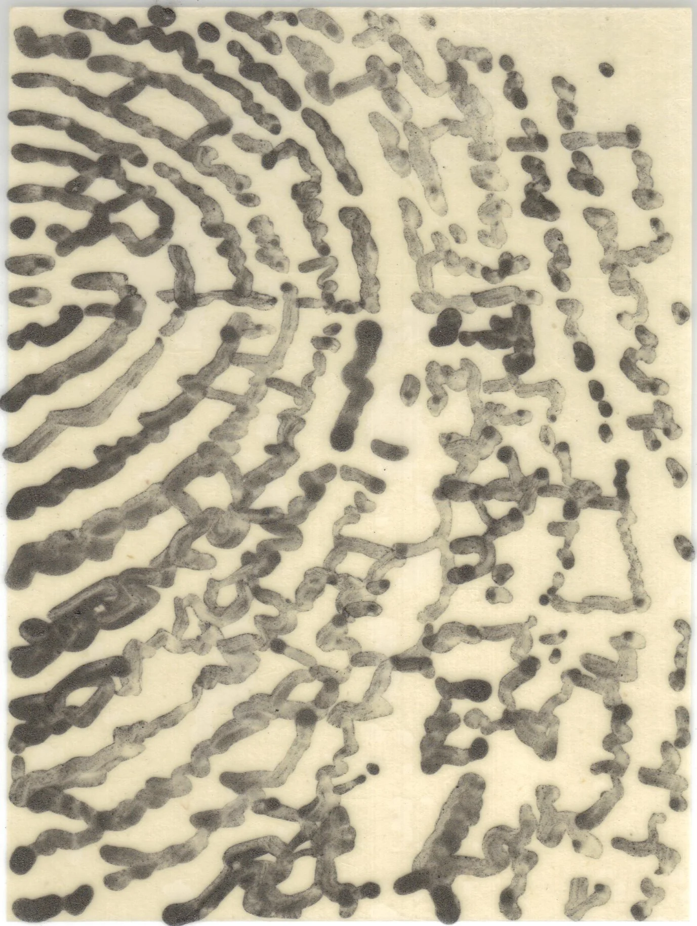 Meditation on Skin 72.jpg