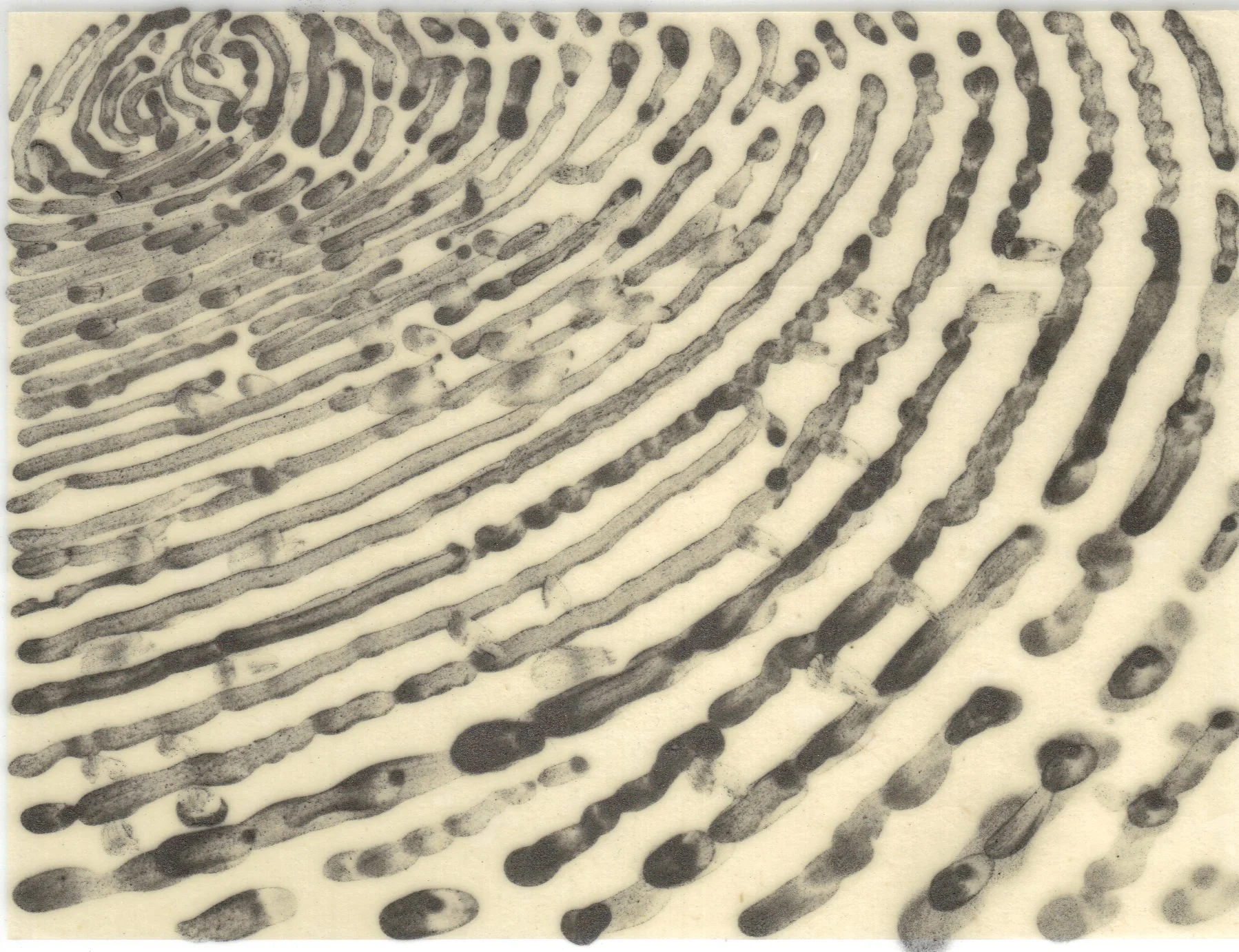 Meditation on Skin 97.jpg