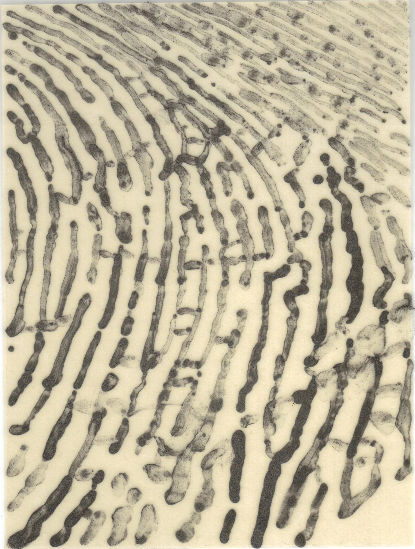 Meditation on Skin 98.jpg
