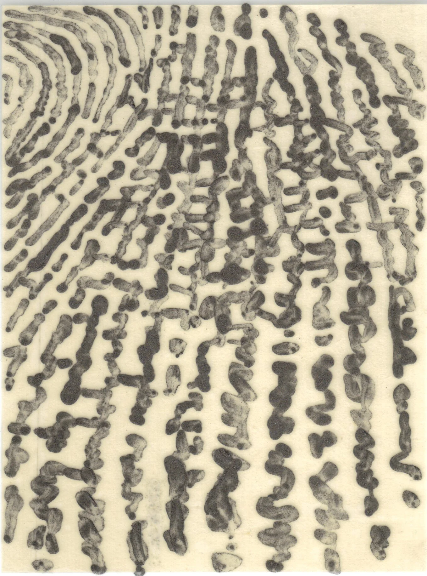Meditation on Skin 44.jpg