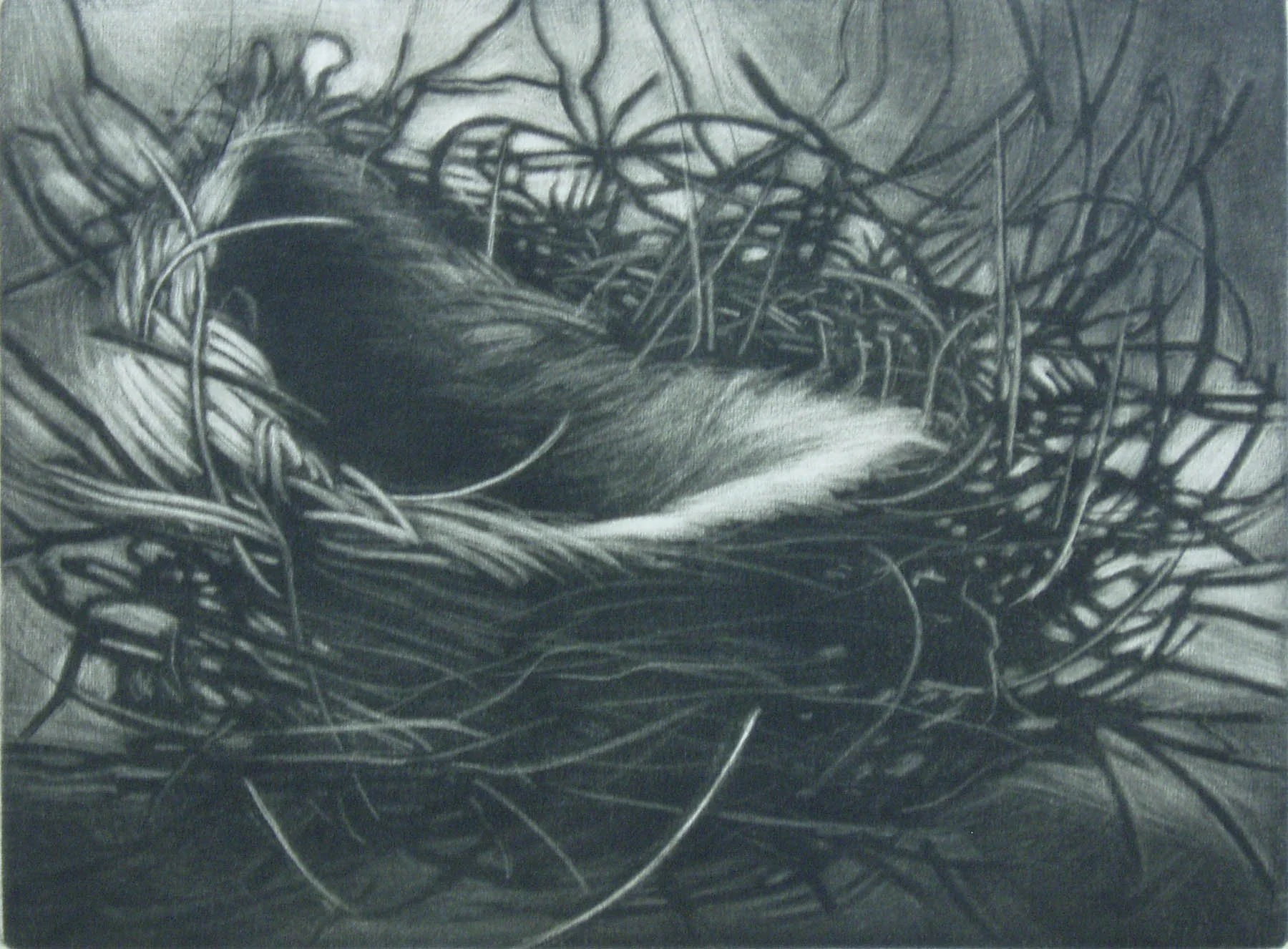 Mother Daughter #6, 
Mezzotint, drypoint, 5 ½” x 7 3/8”, 1999