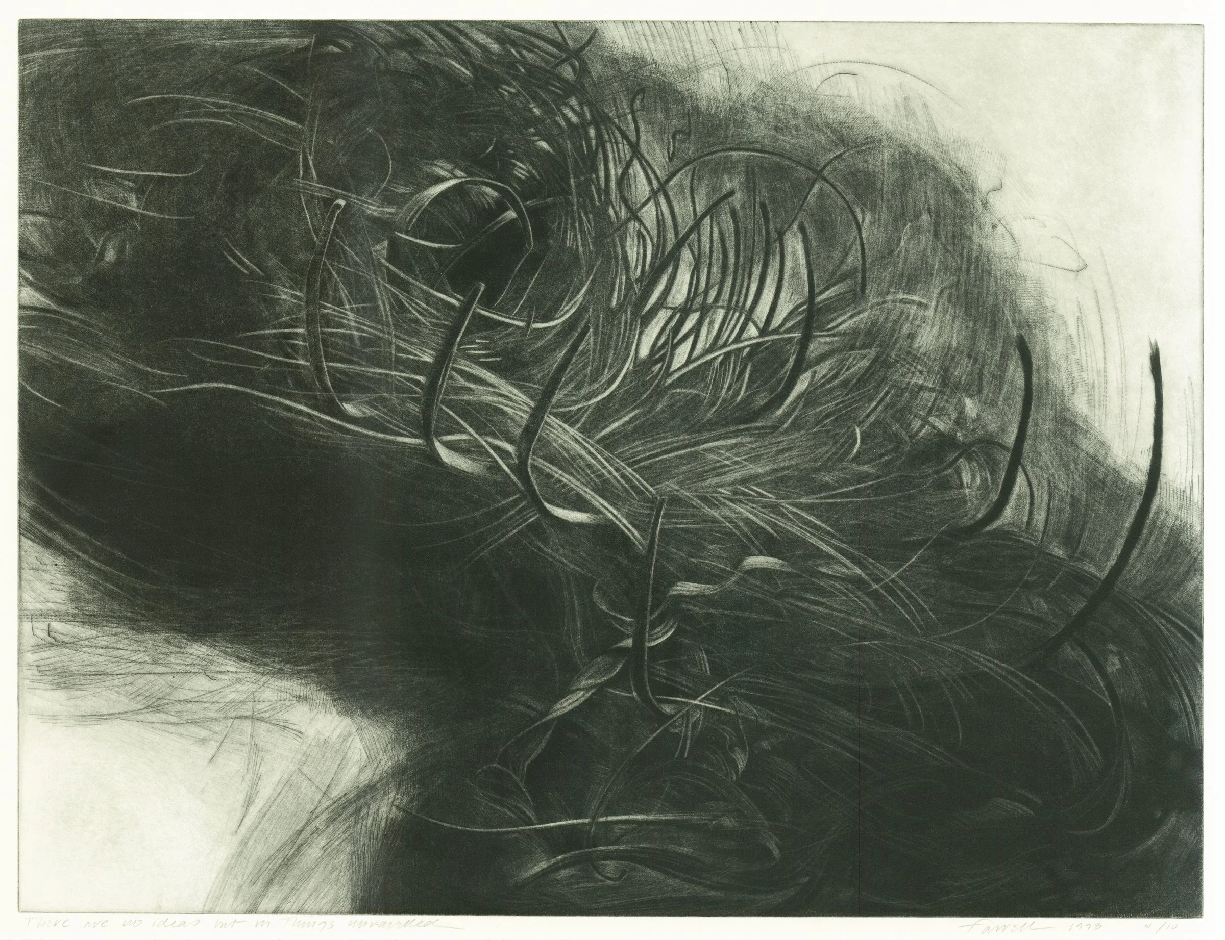 There are no ideas but in things unraveled, 
Mezzotint, drypoint, 17 7/8” x 23 5/8”, 1998