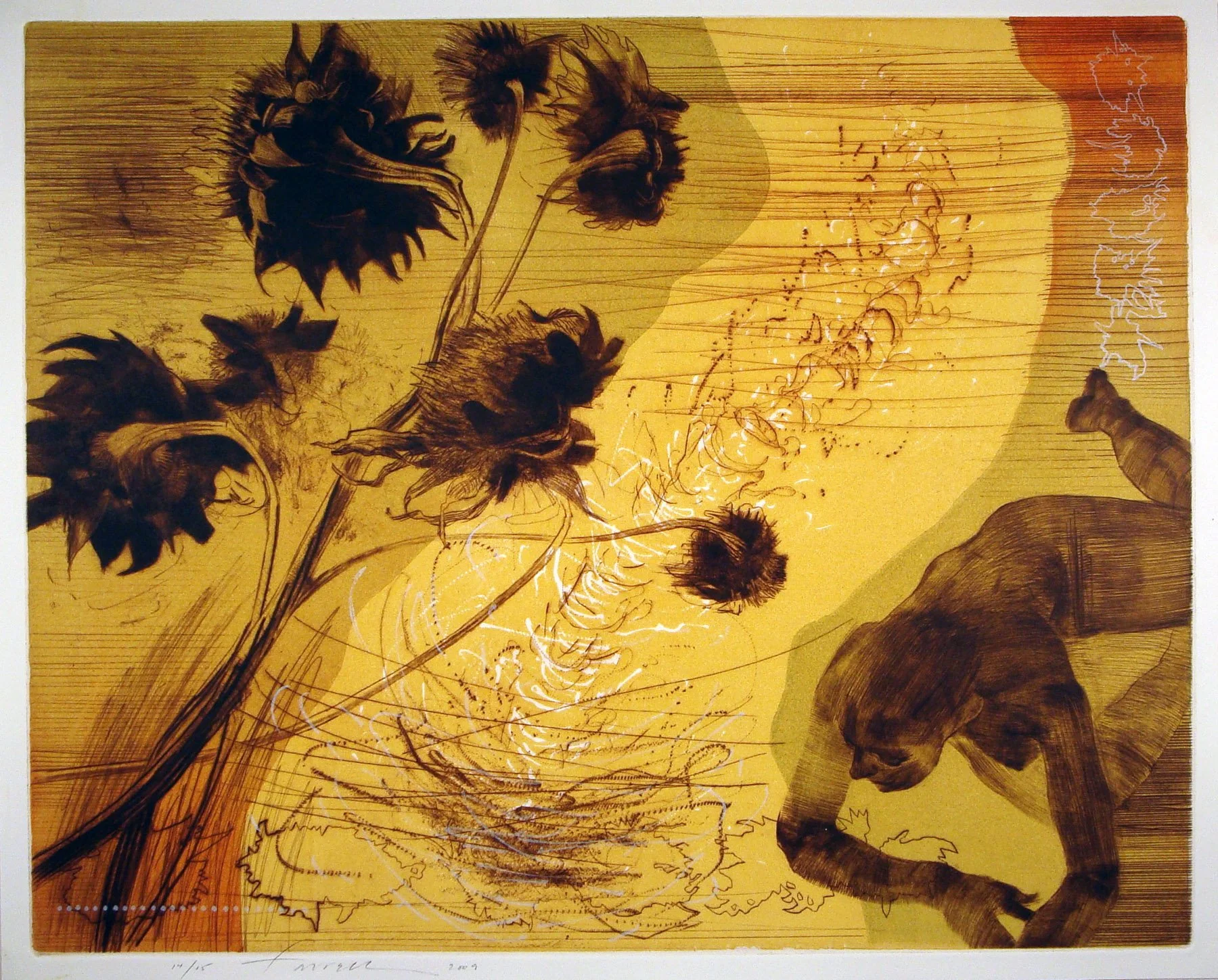 Skin, 
Drypoint, woodcut, lithograph, 16” x 19 ¾”, 2009
