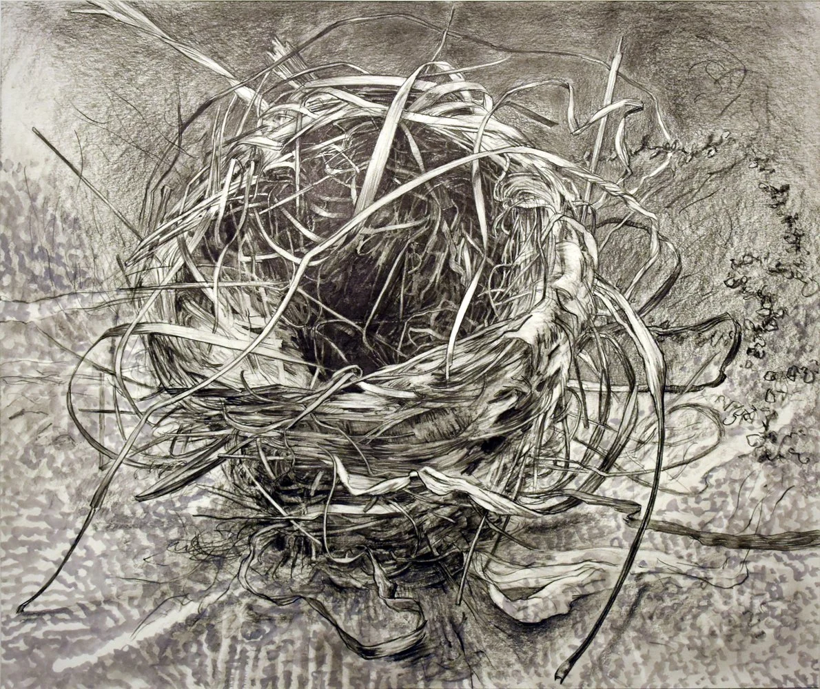 Untitled nest 4, 
Graphite and gauche on mylar, 22” x 27 ½”
