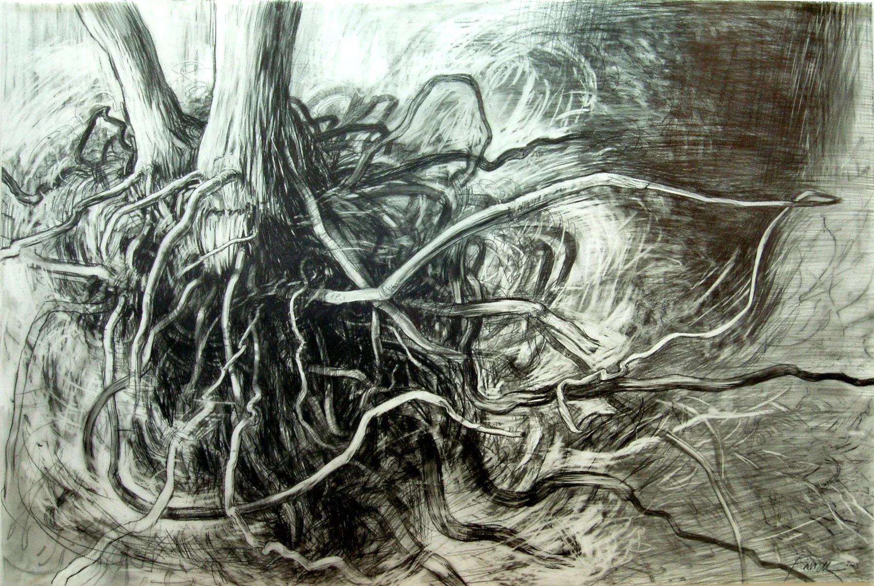 Thoracic Sea, 
Graphite on mylar, 24” x 36”, 2005