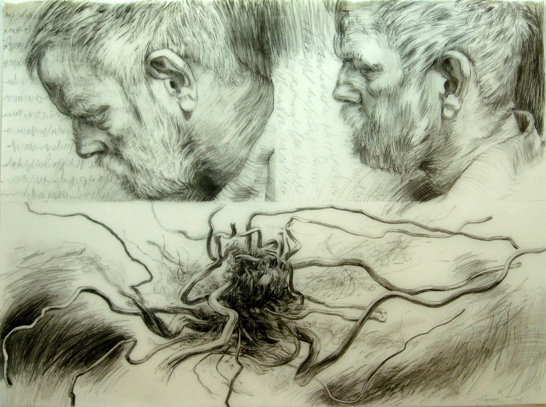 Incomprehensible Wrath, 
Graphite on mylar, 25” x 33 ¾”, 2005