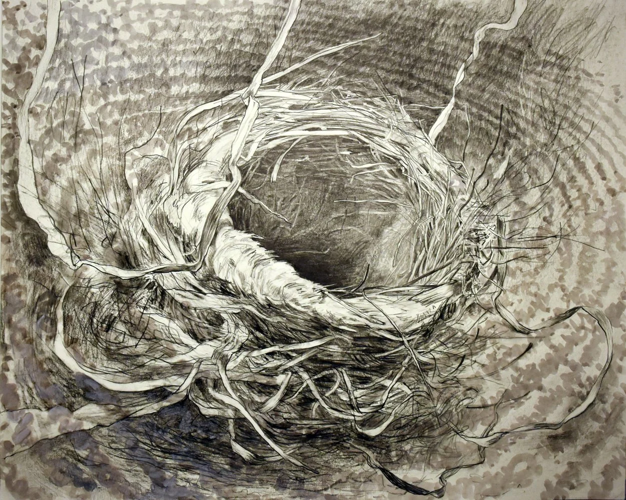 Untitled nest 3, 
Graphite and gauche on mylar, 18 ½” x 22”