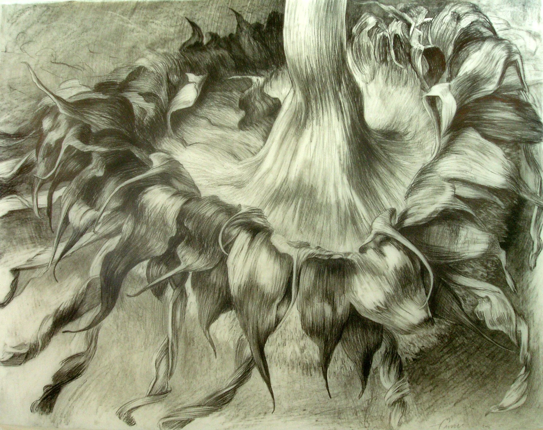 Even the Walls are Flowing, 
Graphite on mylar, 25” x 32”, 2005