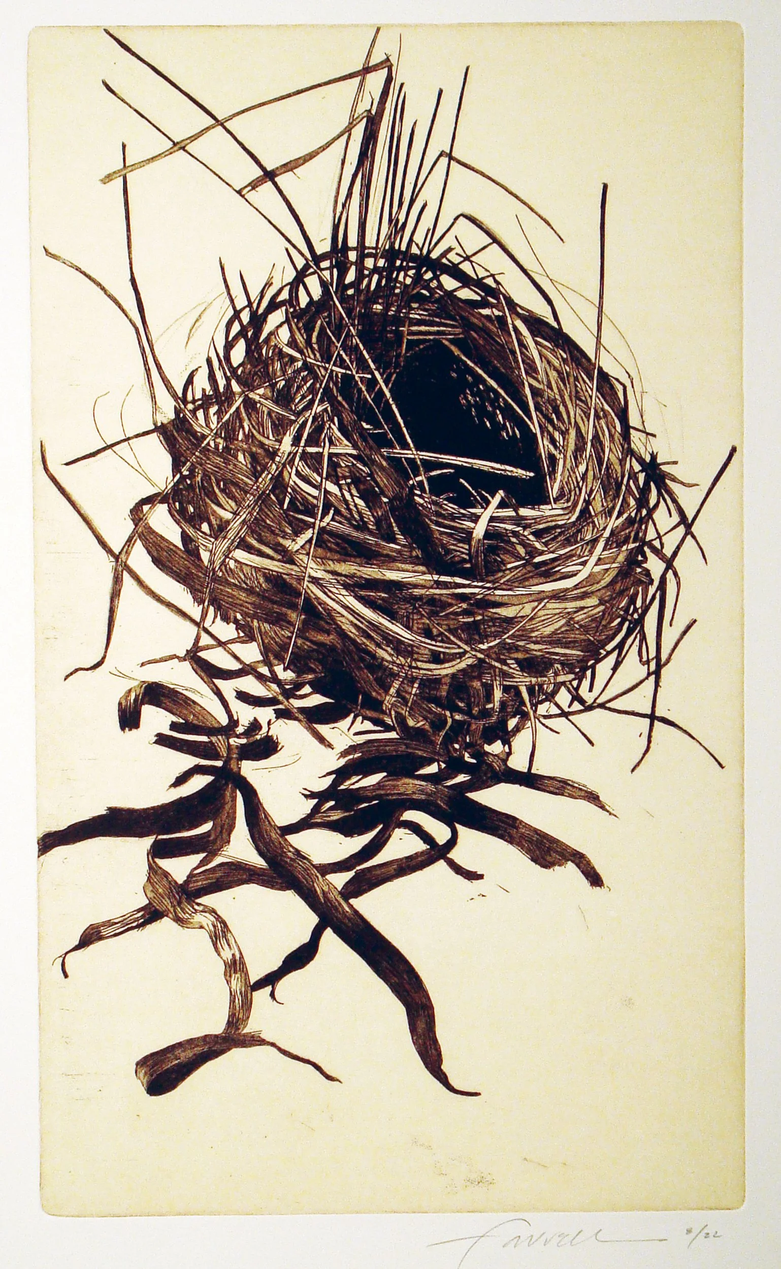 Wrapped, 
Etching, 14 ¾” x 8 ¾”