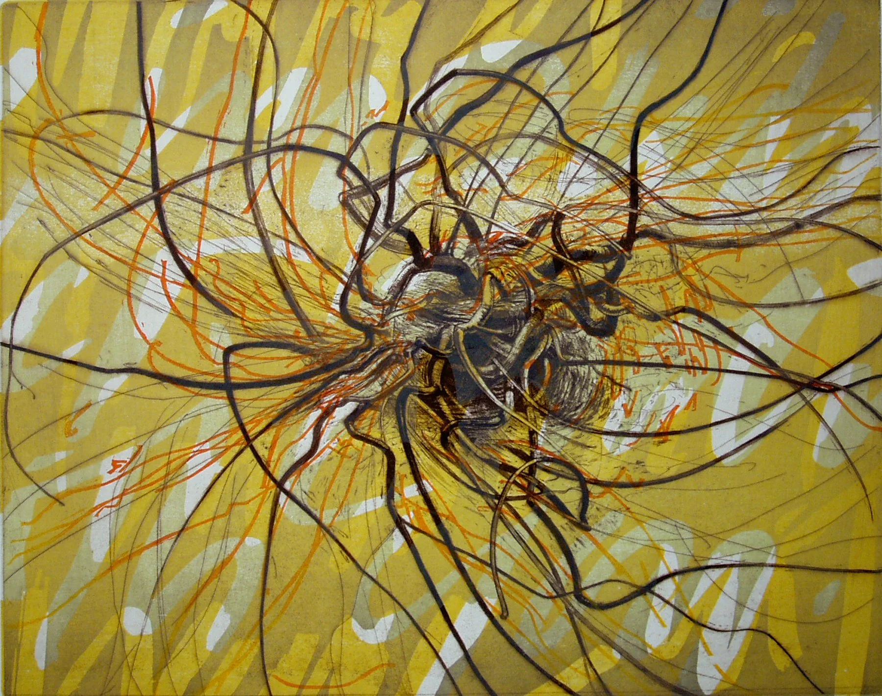 Spasm, 
Etching, woodcut, 15 ¾” x 19 ¾”, 2006