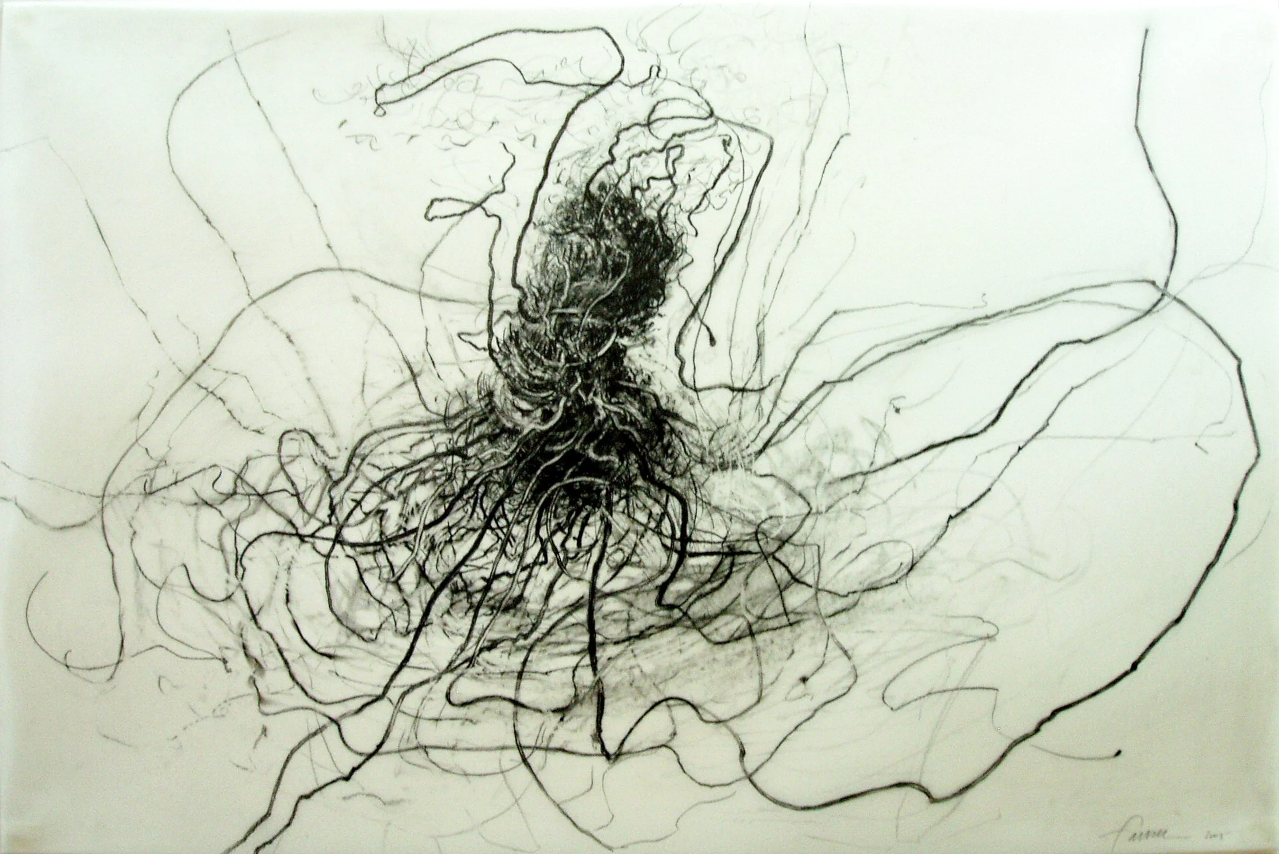 Creeping Wire Vine, 
Graphite on mylar, 24” x 36”, 2005
