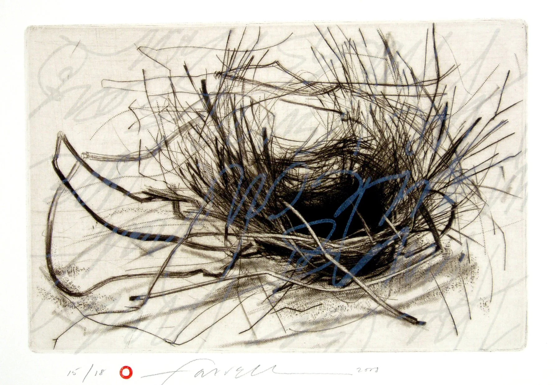 Untitled Nest, 
Drypoint, Mezzotint, Lithograph, 5 “ x 7 ½”, 2008 