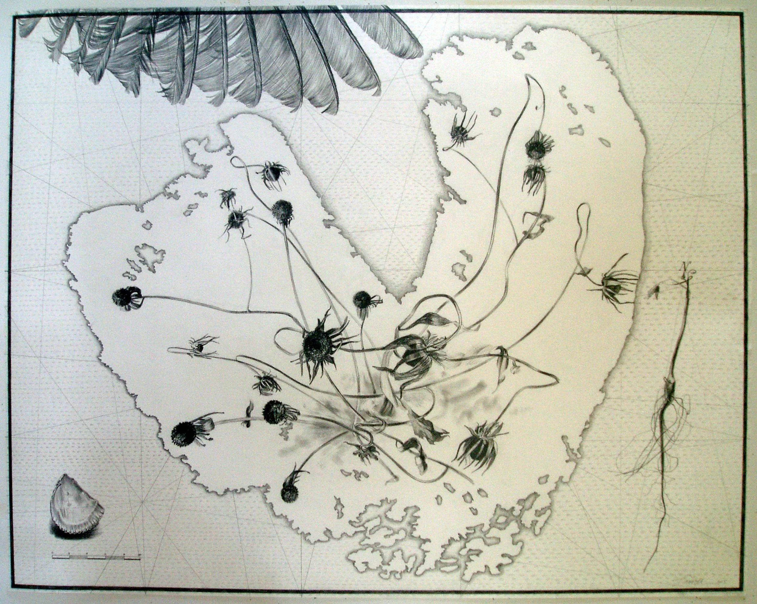 Charting the Here and Now, 
Graphite on paper, 30” x 38”, 2005