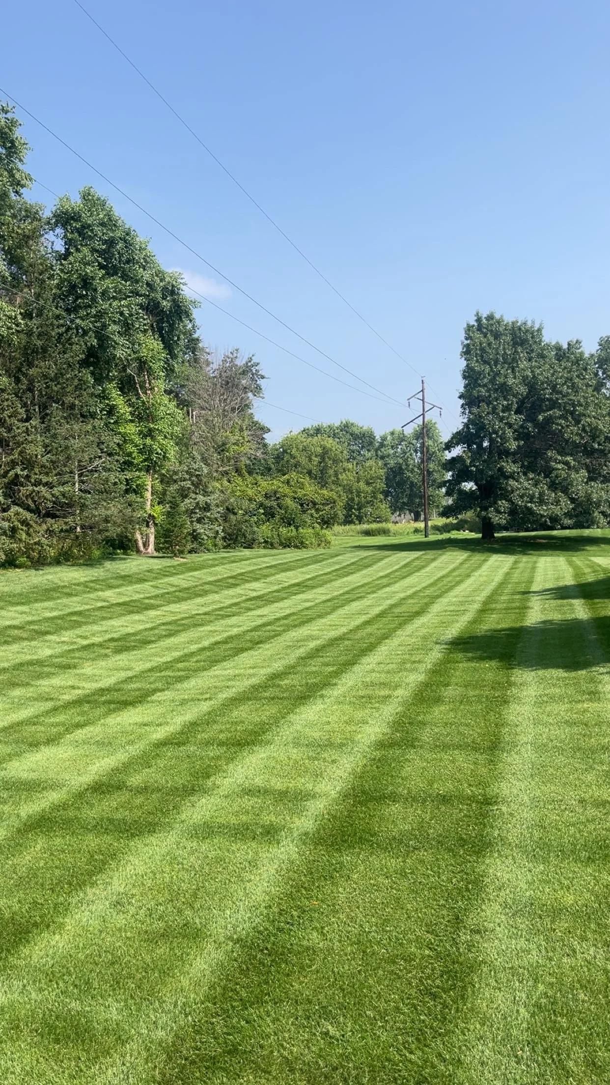 A lush green lawn with freshly mowed grass showing striped pattern, surrounded by trees and utility poles under a clear blue sky.