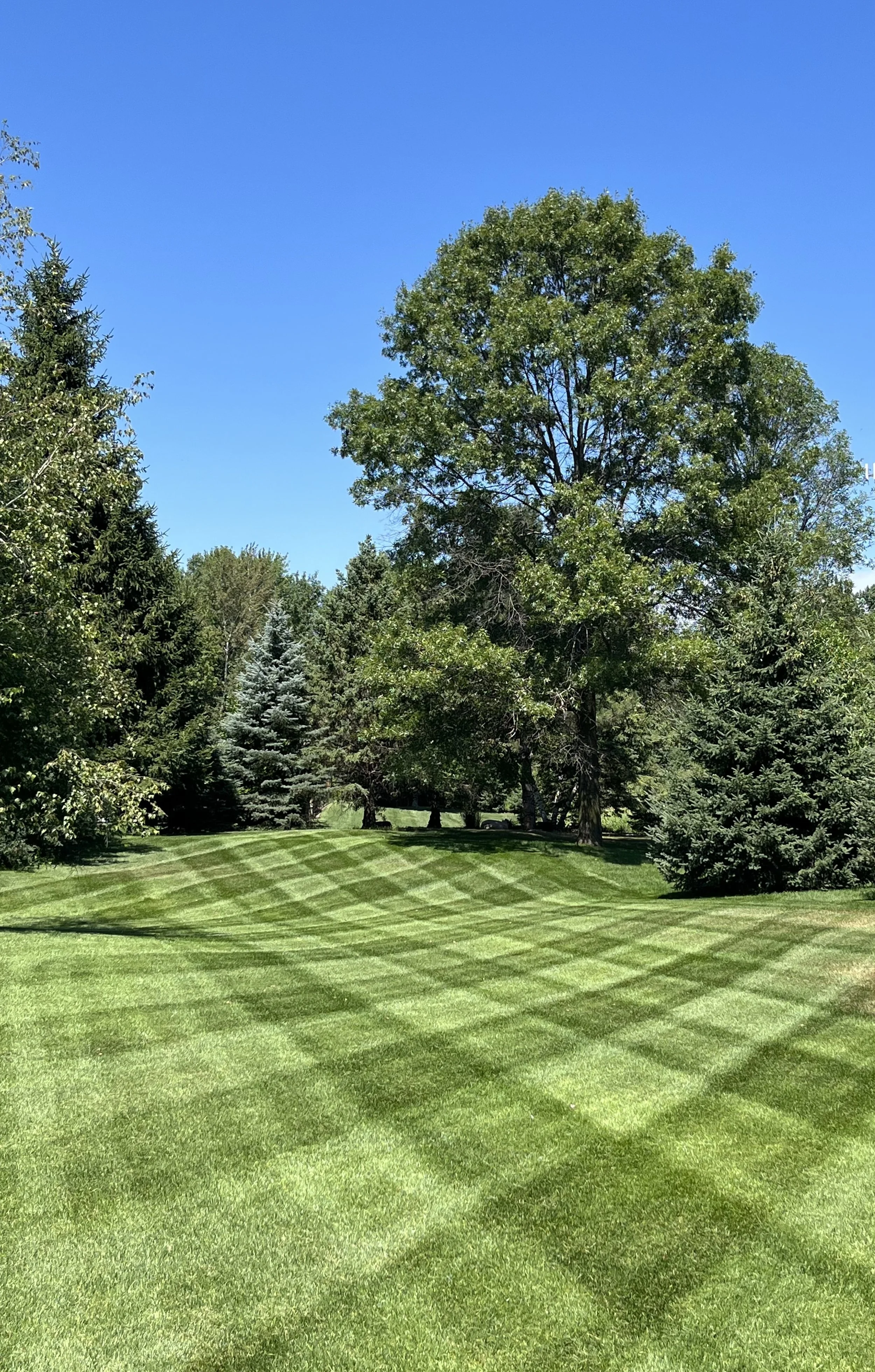 A well-maintained golf course with green grass, trees, and a clear blue sky.