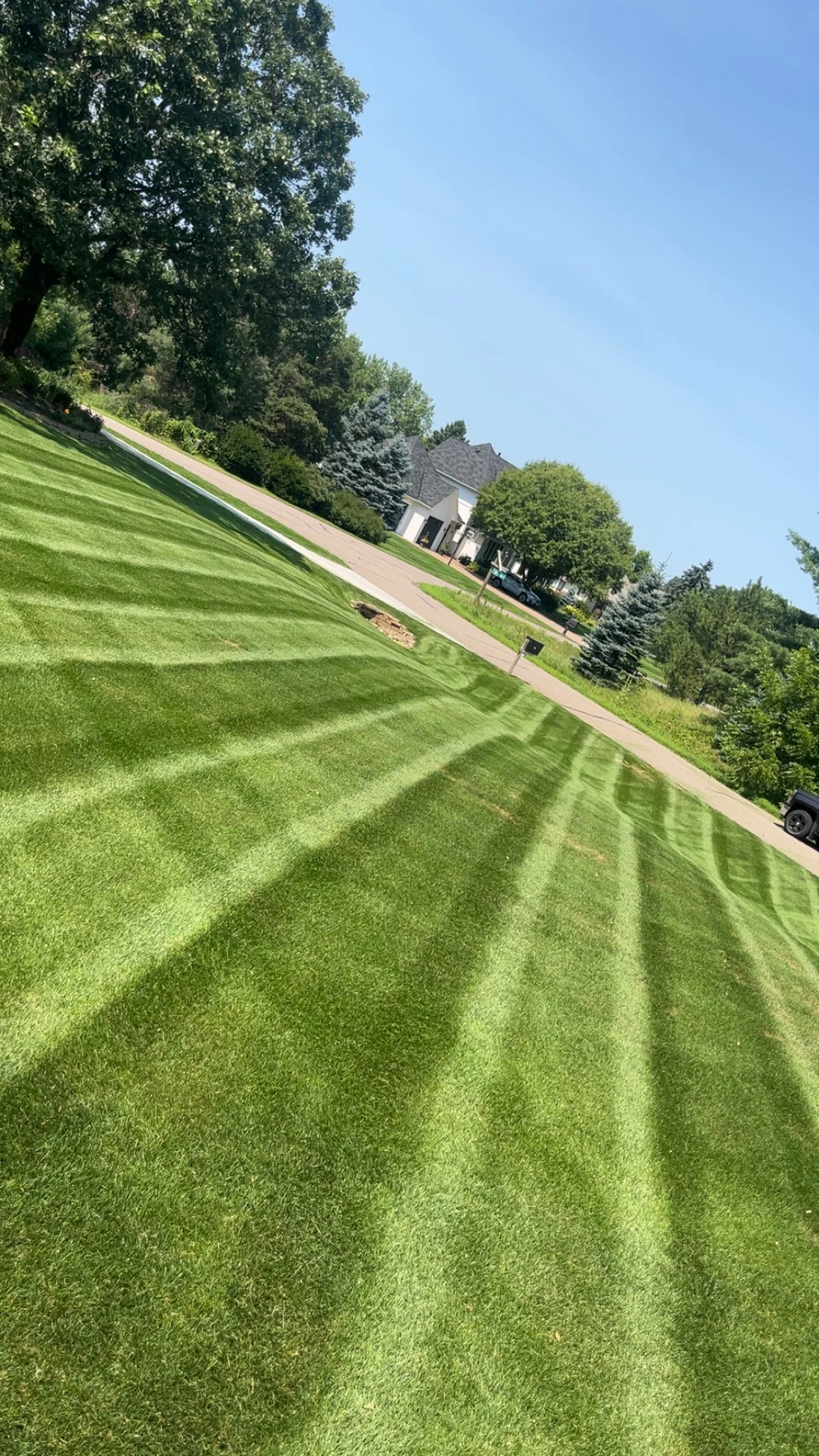 A suburban lawn with freshly-cut grass, showing striped mowing patterns, next to a sidewalk and neighboring houses under a clear blue sky.
