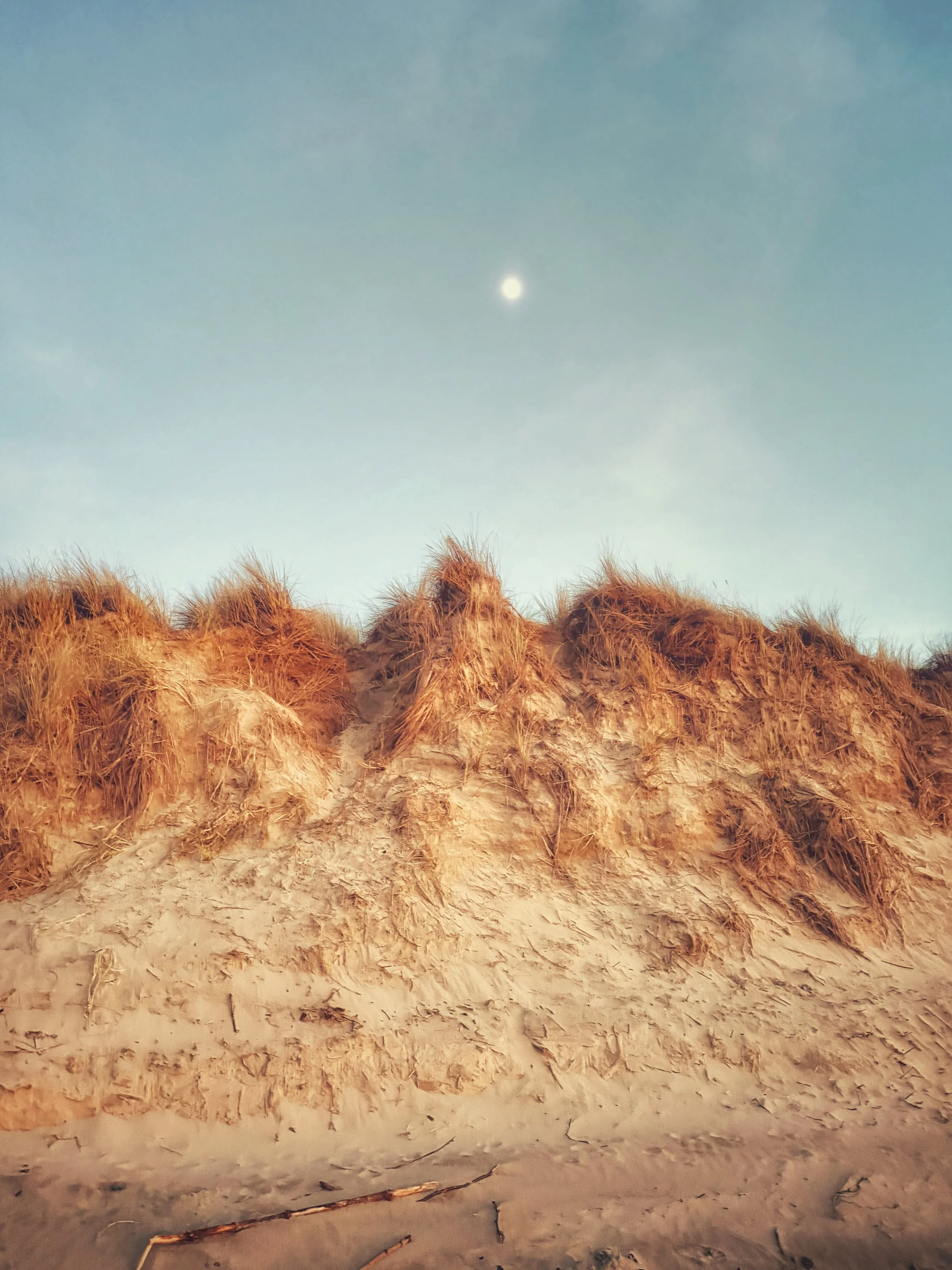 A sandy beach with tall dune grass in the foreground and a pale blue sky with a bright moon overhead.