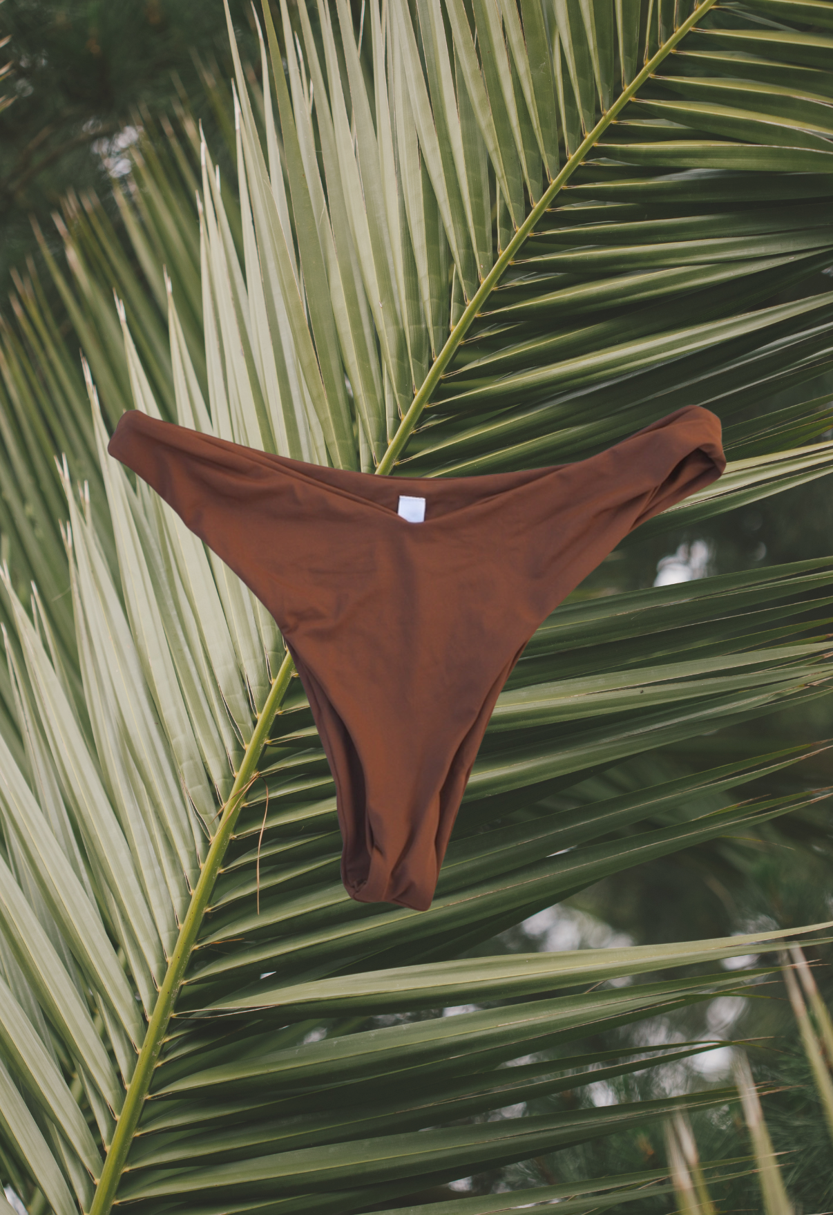 Zuma Bottoms
