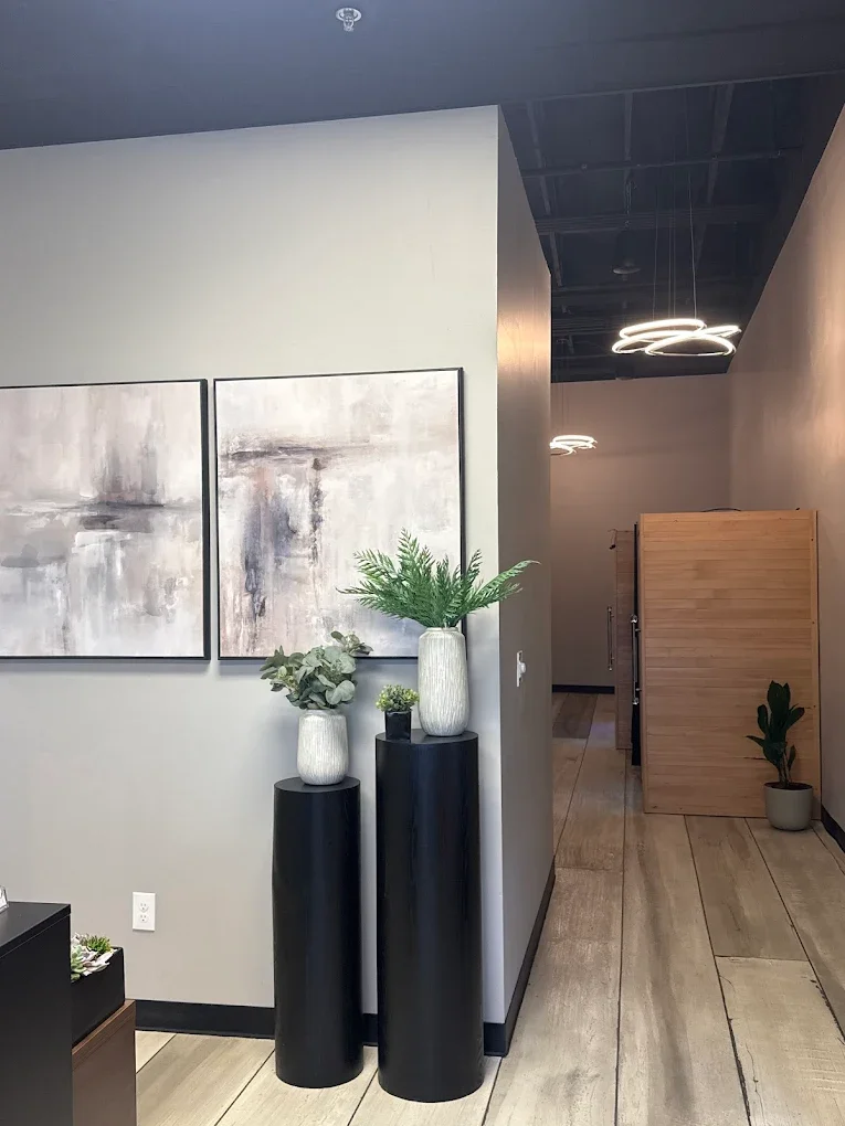 The Meridian Project