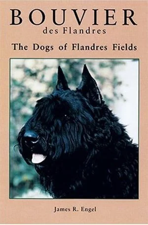 bouvier.jpg