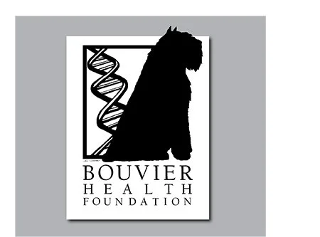 BOUVIER HEALTH FOUNDATION