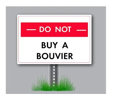 DON'T BUY A BOUVIER