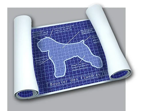 THE OFFICIAL STANDARD