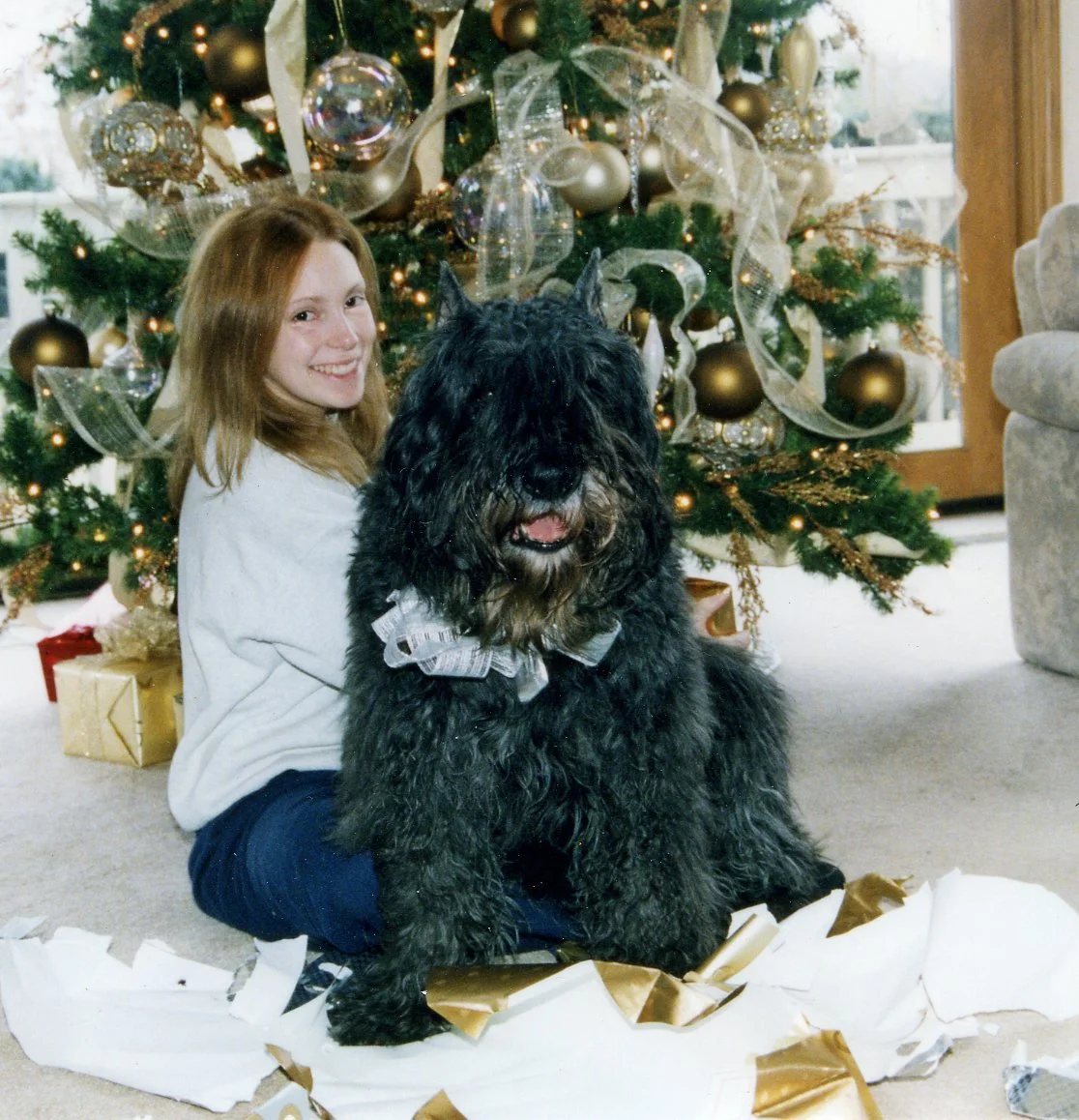 Xmas 2.jpg