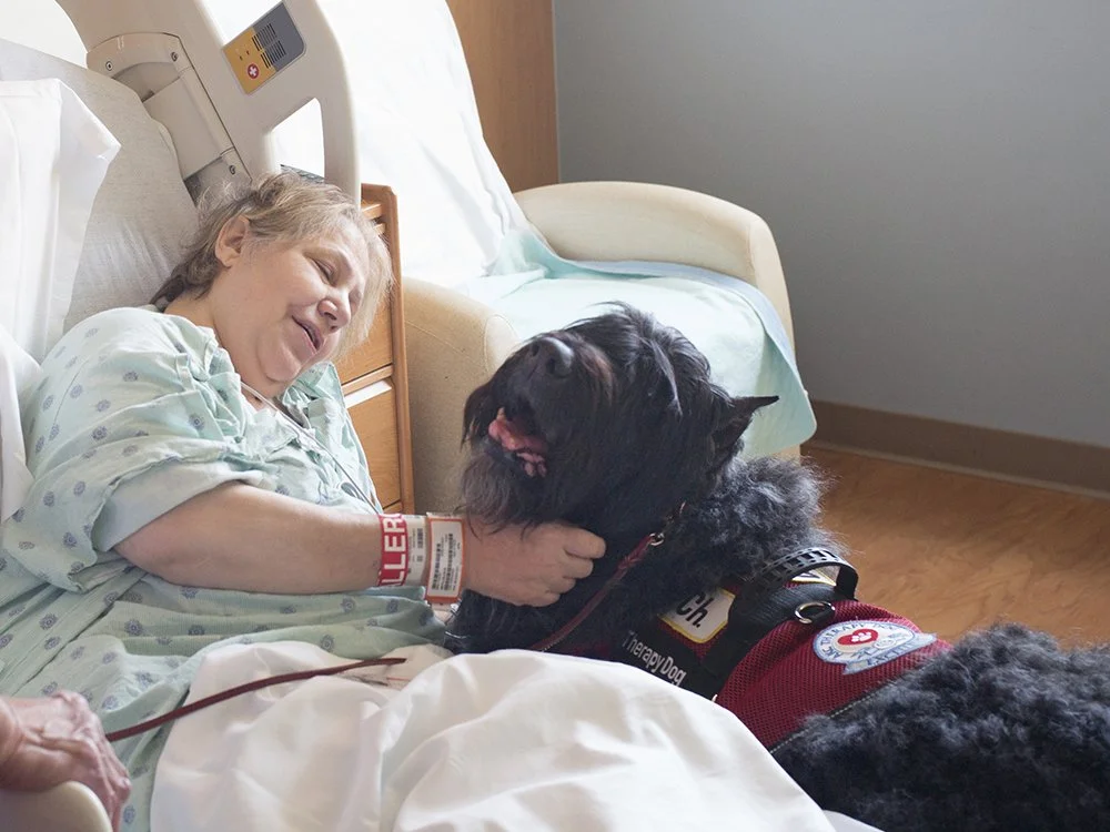 Therapy dog.jpg
