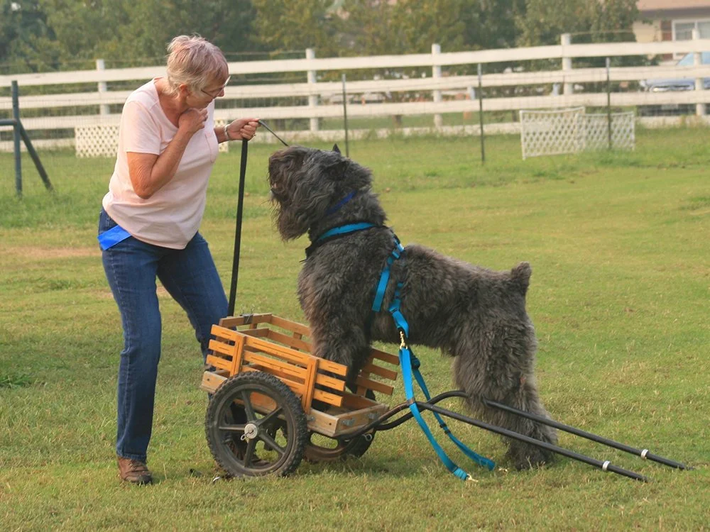 Broker Lee and cart.jpg