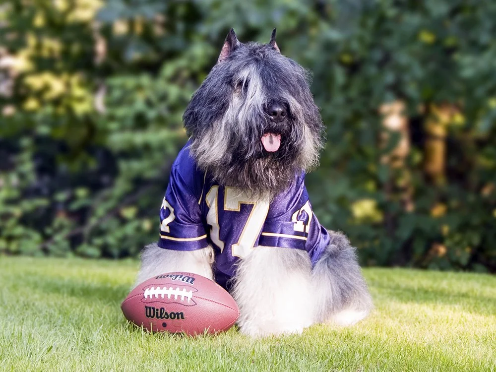 Slater Football.jpg