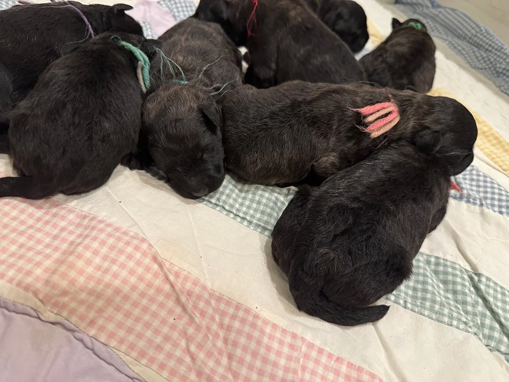 IMG_3287.jpg