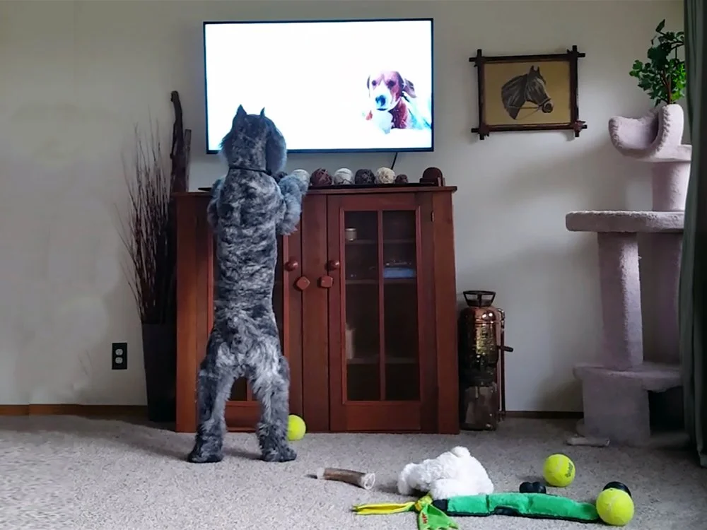 Cecil and TV.jpg