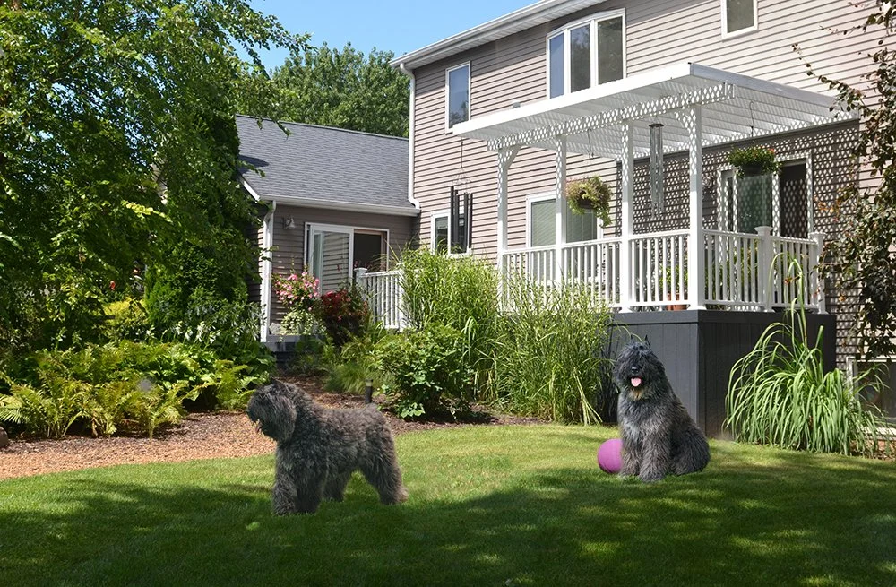 back porch.jpg
