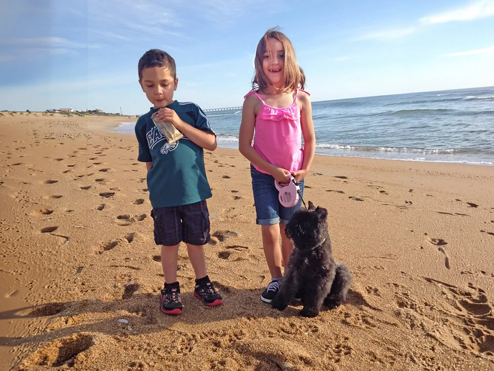 Beach.jpg