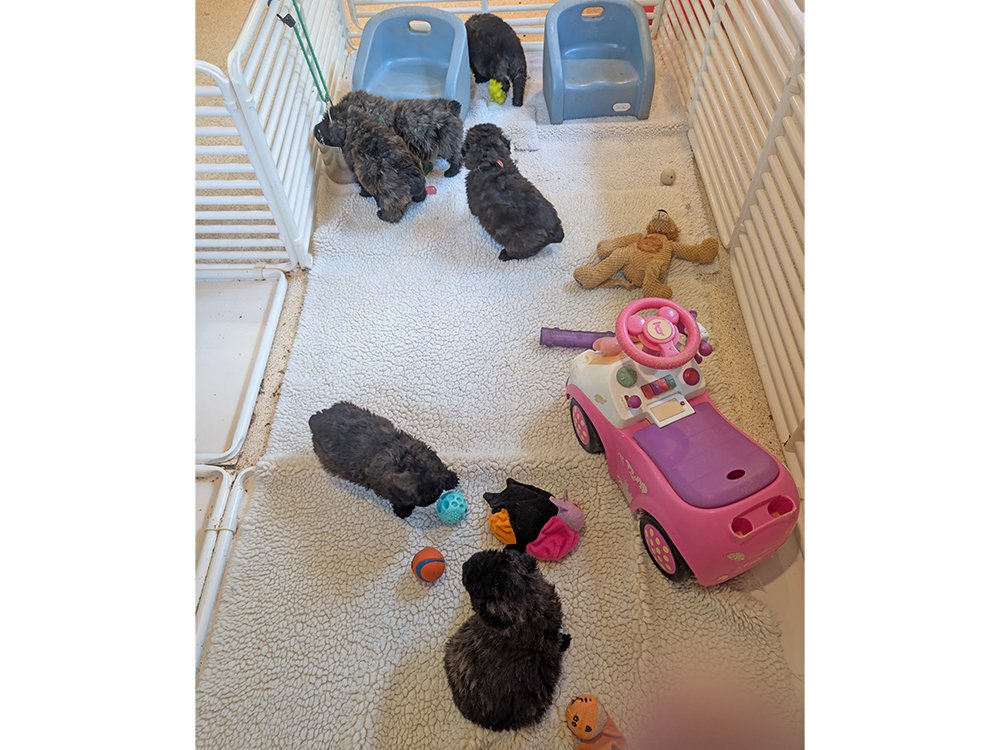 1000007071.jpg