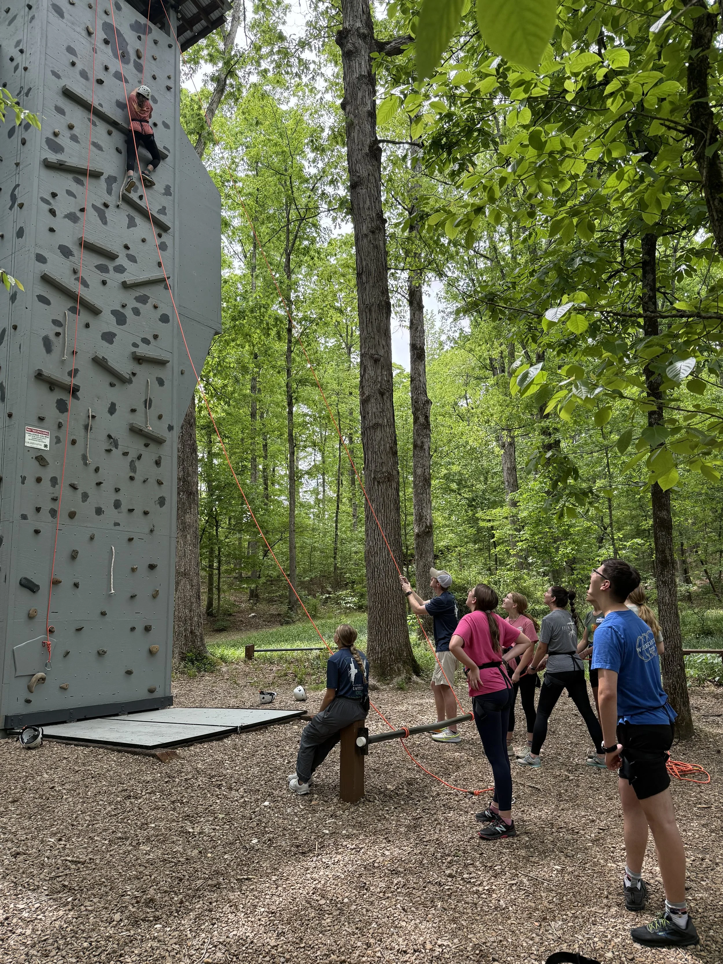 A group of people in a forested area watching a person climbing an outdoor rock climbing wall, with some people holding the climbing ropes and others observing.