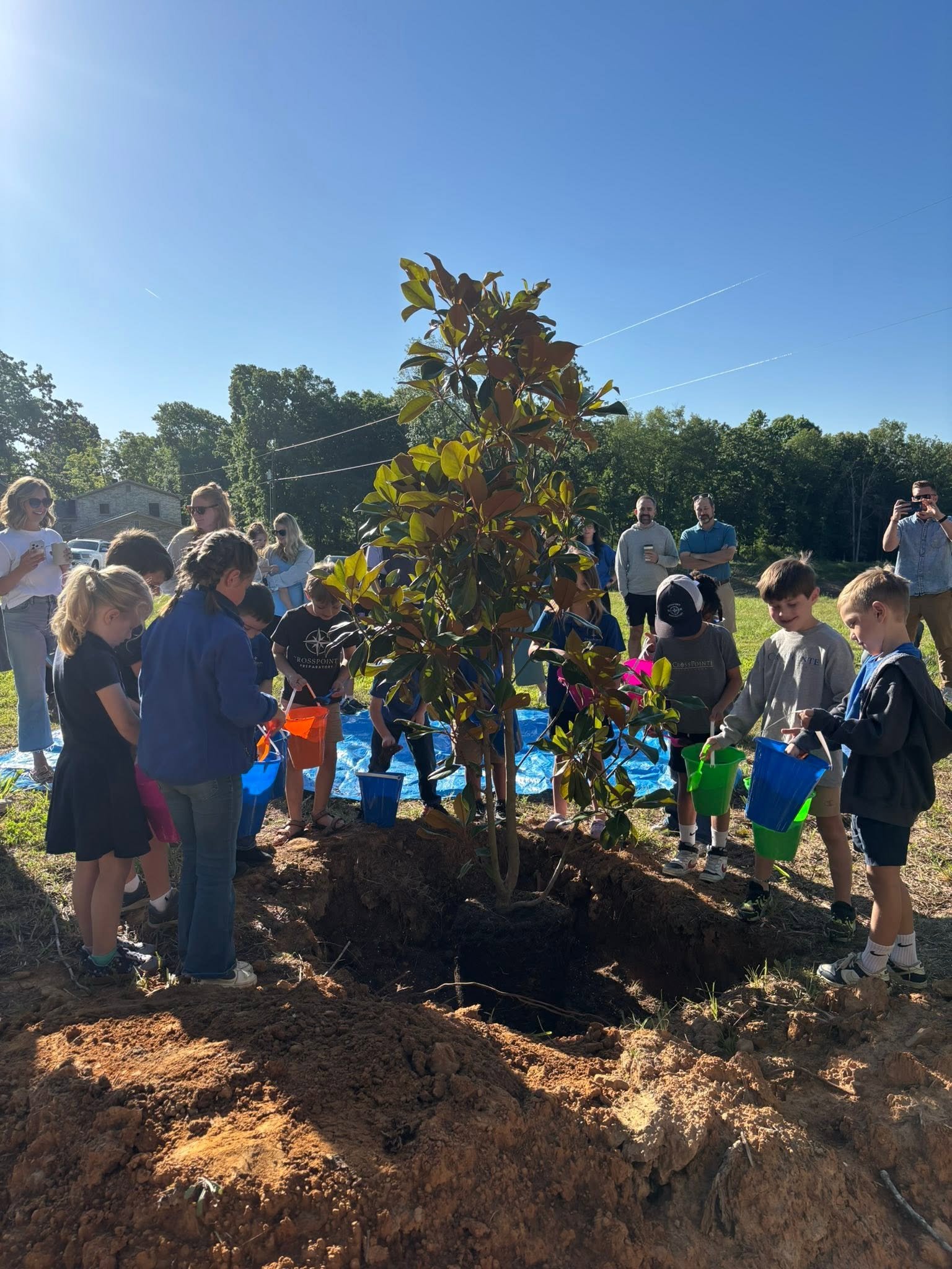 Group of children and adults planting a tree outdoors on a sunny day.