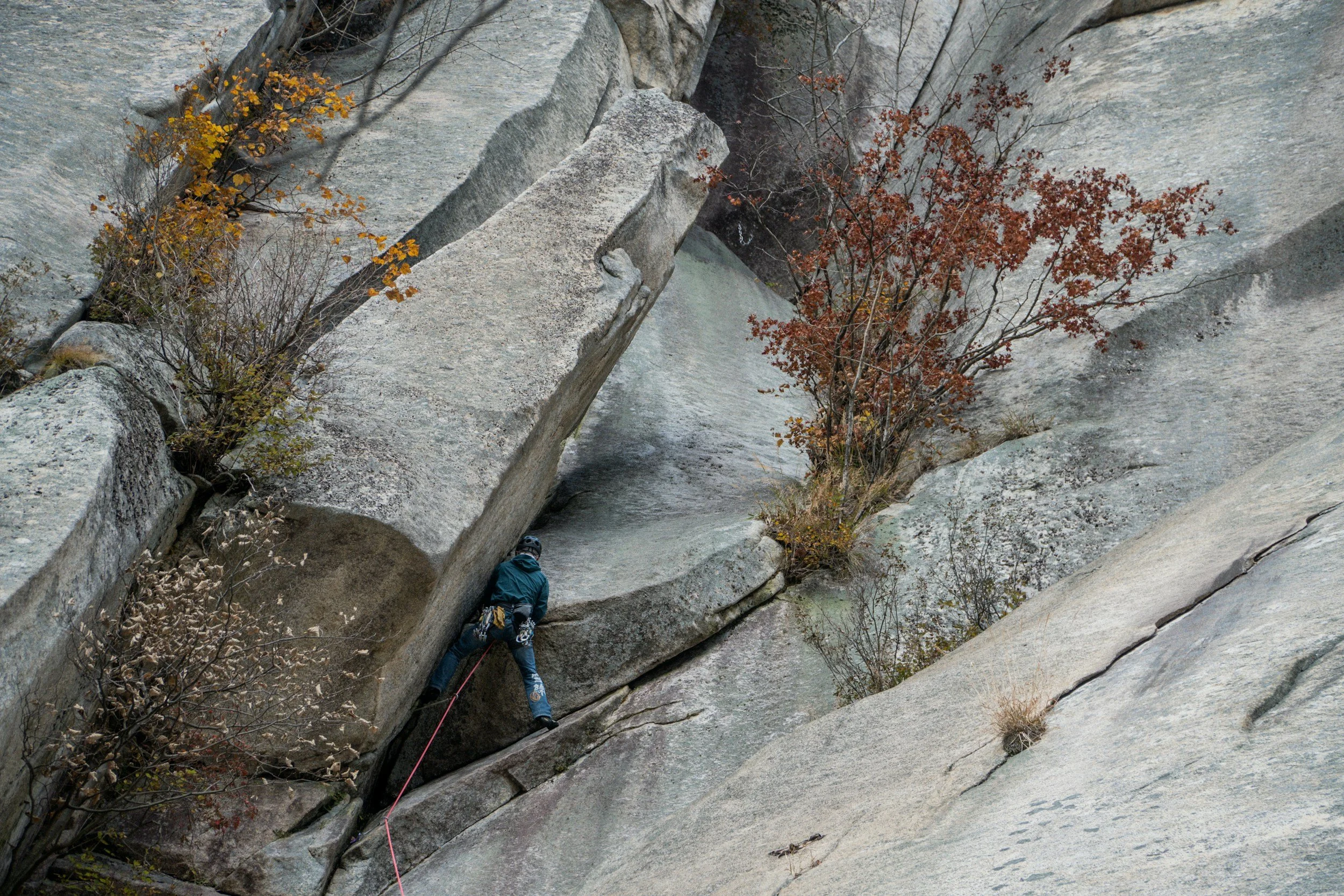 A person climbing a steep rock face with trees and fall foliage around him.