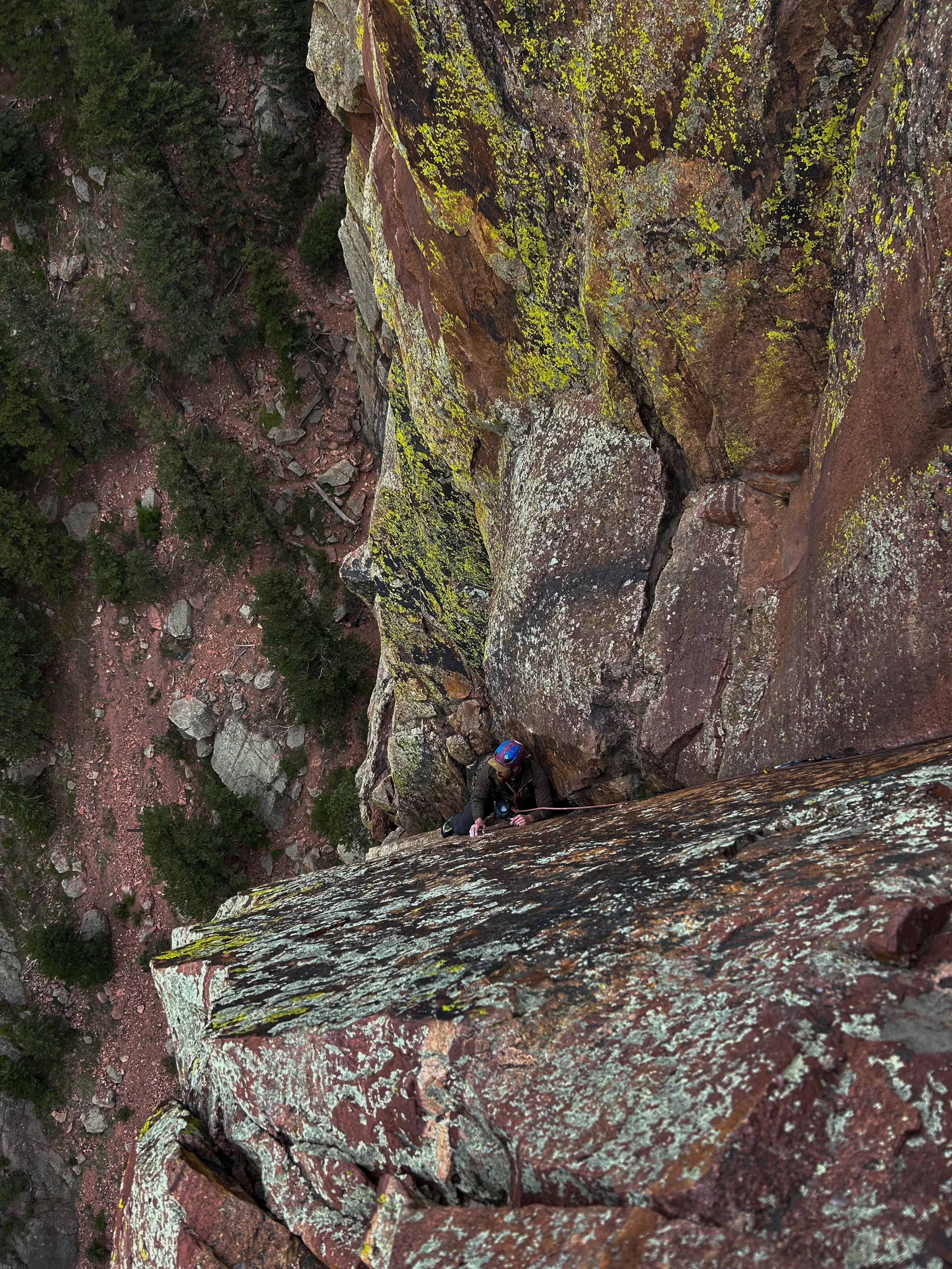 A person rappelling down a tall, rocky cliff with trees visible at the bottom. The individual is wearing a helmet and harness, with a safety rope attached, descending the face of the cliff.
