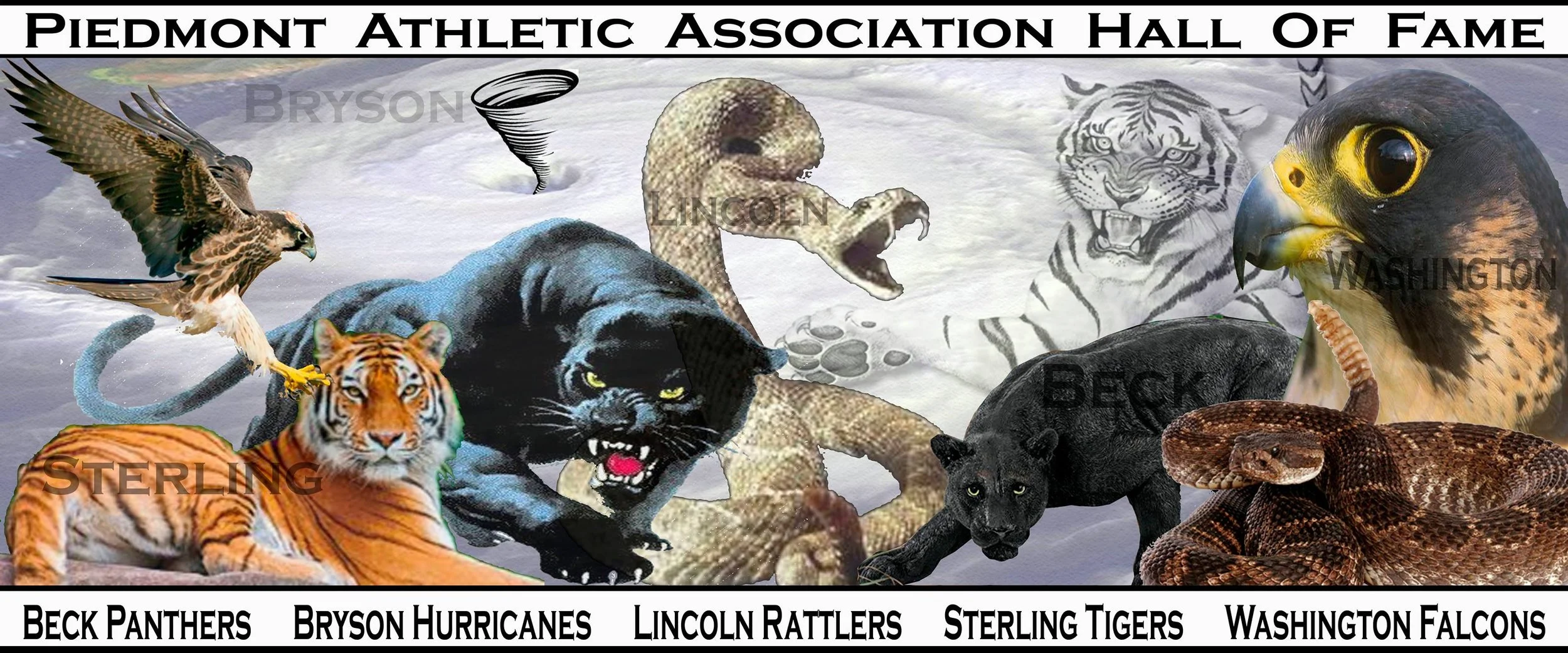 Collage of various animals including a hawk, tiger, black panther, rattlesnake, lion, tiger, black dog, and hawk, with text indicating induction to the Piedmont Athletic Association Hall of Fame.