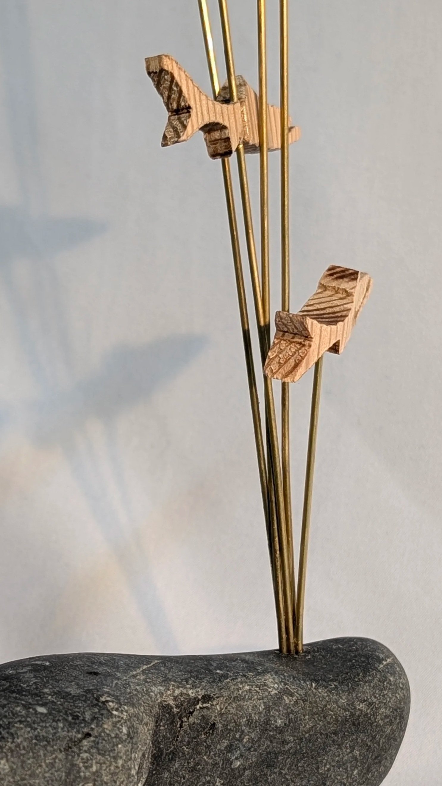 PXL_20260514_192555550.PORTRAIT.ORIGINAL.jpg