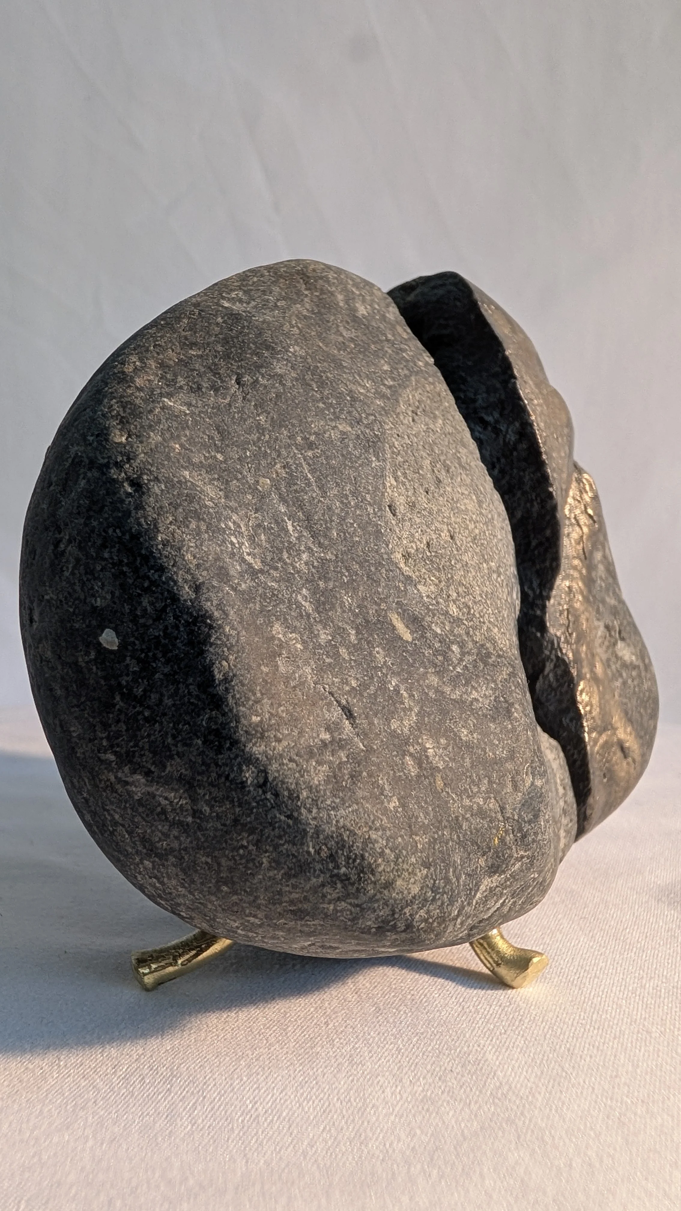 PXL_20260604_212917407.jpg