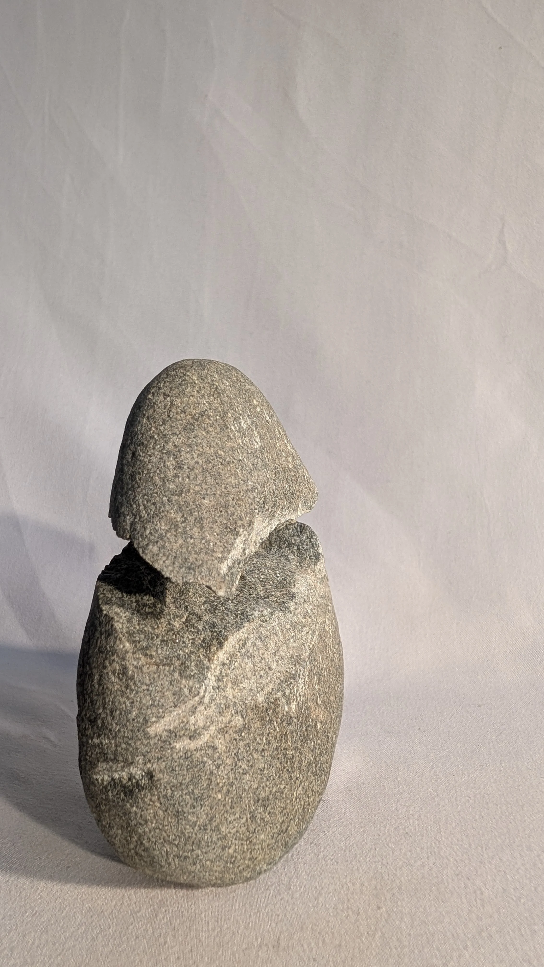 PXL_20260514_203806435.MP.jpg