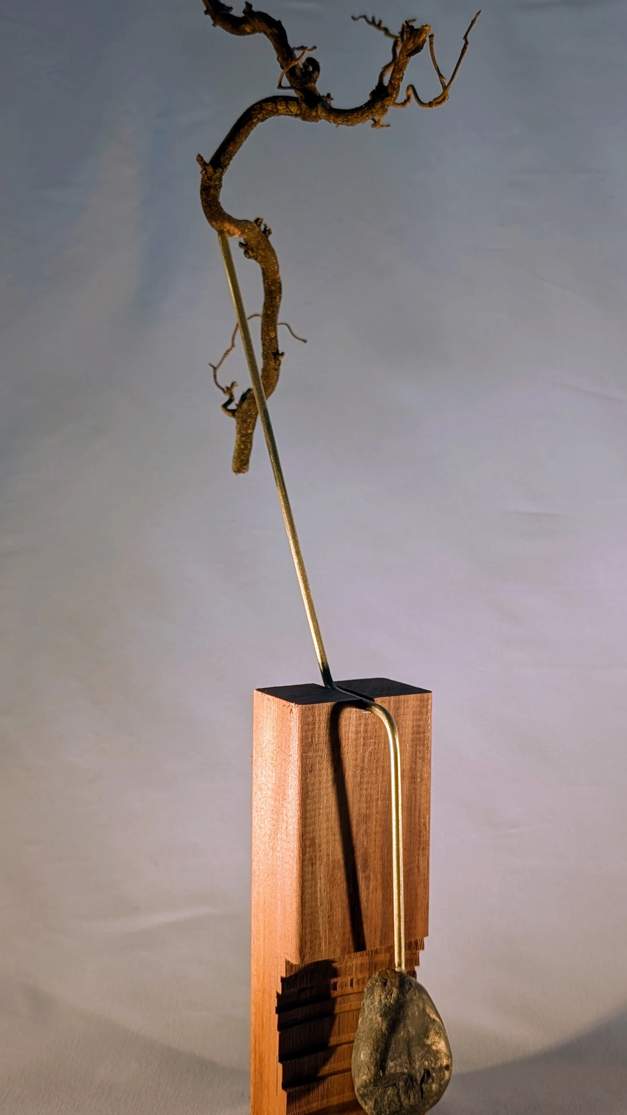 PXL_20260418_225745218.PORTRAIT.ORIGINAL (1).jpg