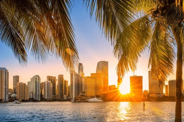 The Miami Marketing Executive Exchange