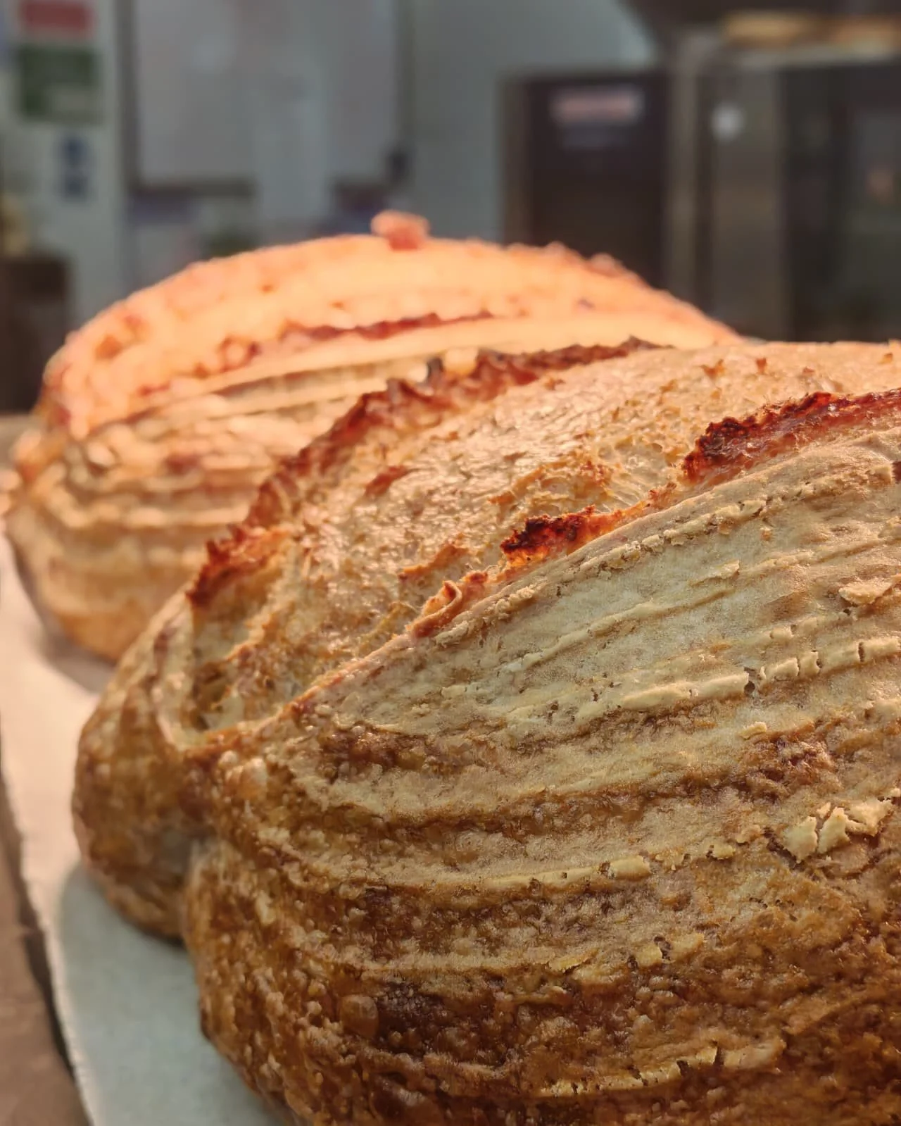 Fresh bread isn't a special here. It's always here at The Butchers Arms.⁠
⁠
#Sourdough #ButchersArms #CarmarthenshirePub #GastoPub #ProperPub #PubGrub #Llanddarog #VisitCarmarthenshire #YesChef #ChefLife #DiscoverCarmarthenshire #WestWalesFood #Wales
