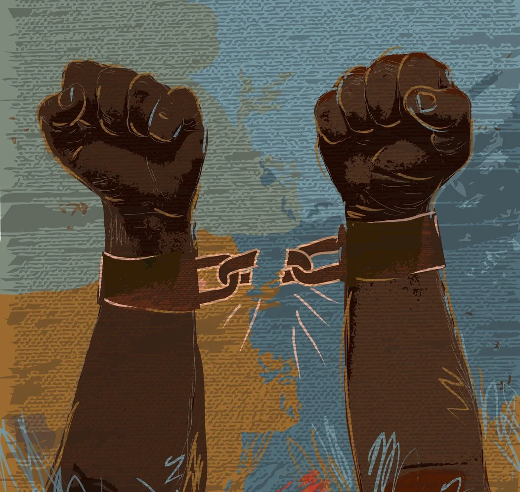 Sacred Cows | This Week In White Supremacy 