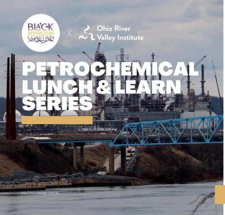 EMPOWERING INDEPENDENCE FROM PETROCHEMICALS LUNCH & LEARN