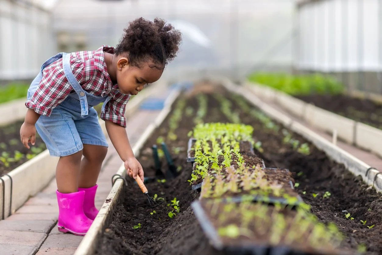 Harriet Tubman Day at Braddock Farms
